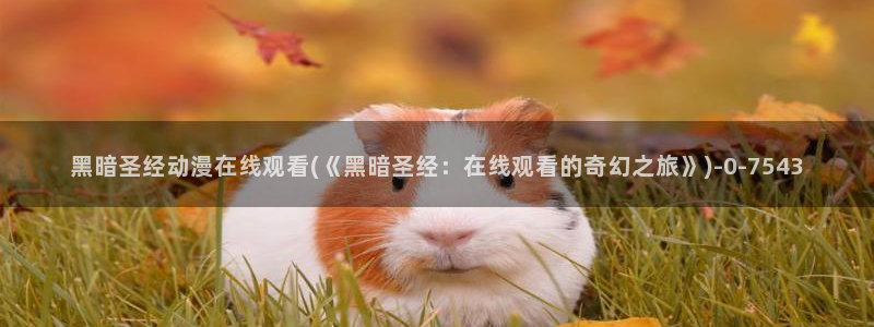 二次元动漫：黑暗圣经动漫在线观看(《黑暗圣经：在线观看的奇幻之旅》)