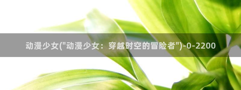 动漫同人