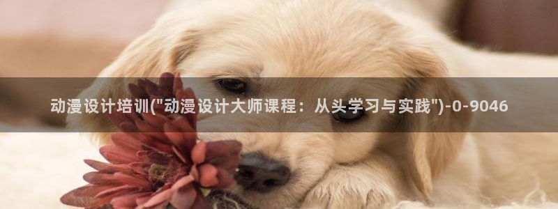 第一动漫