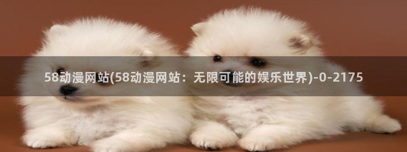 看动漫的网站：58动漫网站(58动漫网站：无限可能的娱乐世界)