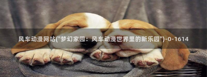 动漫的英文